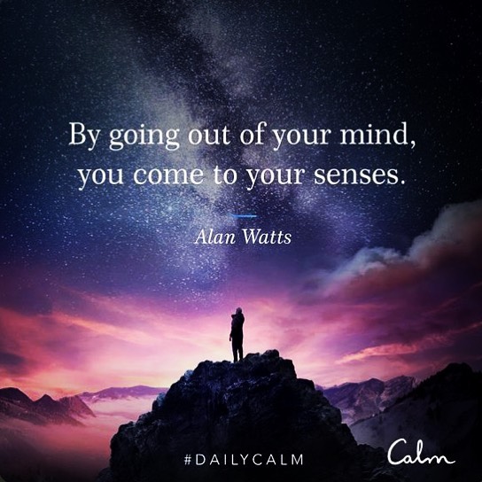 Get out of your head.
•••
#dailycalm #calmapp #calm #stillness #meditation #quote #quoteoftheday #dailyquotes #life #sayings #wednesdaywisdom #namaste🙏